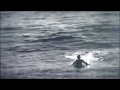 Day 5 Highlights - 2012 O'Neill Coldwater Classic